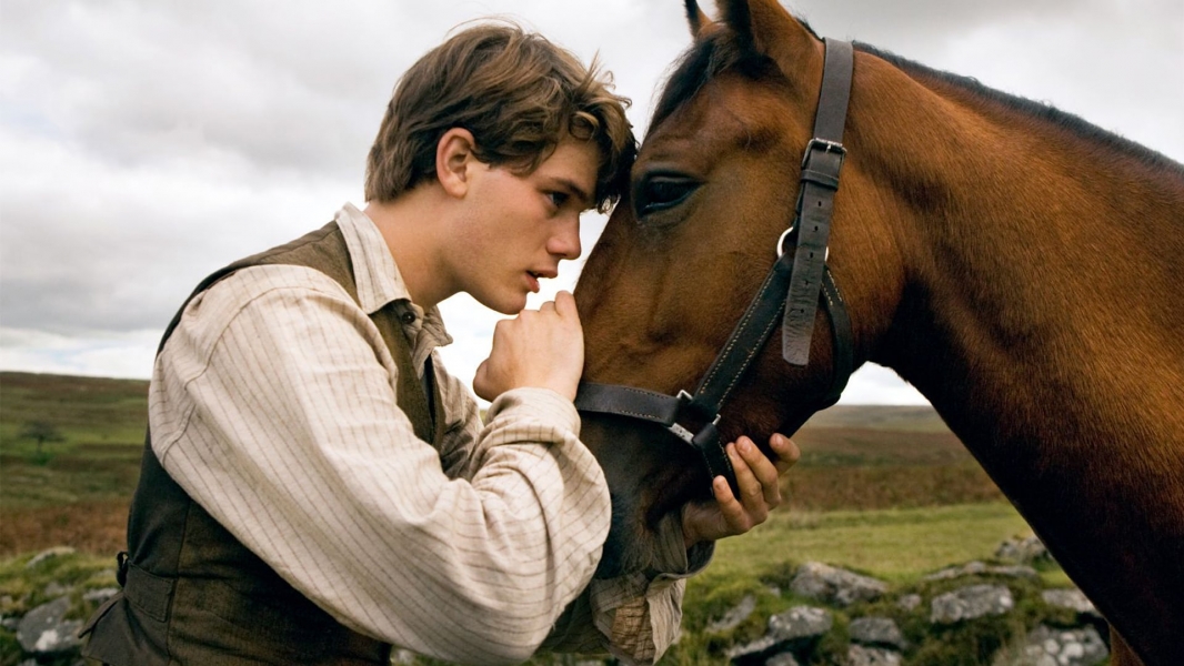 War Horse