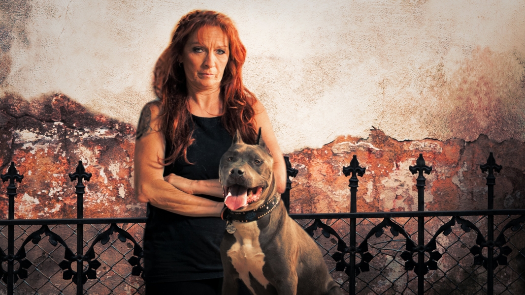 Pit Bulls and Parolees