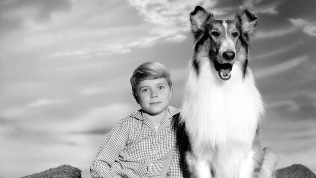 Lassie