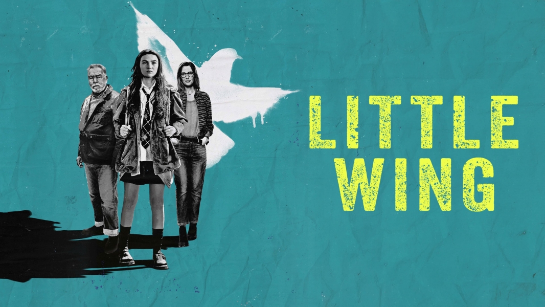 Little Wing