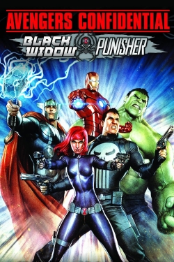 Avengers Confidential: Black Widow & Punisher